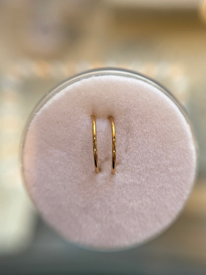 Double nose ring