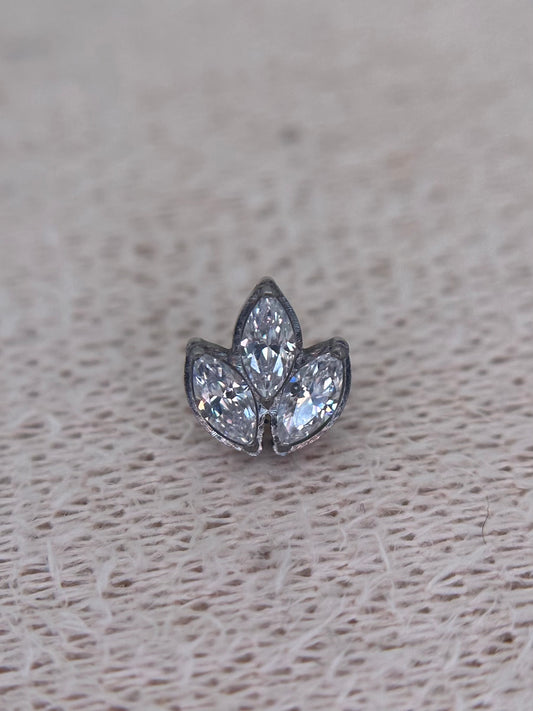 Bordered Lotus