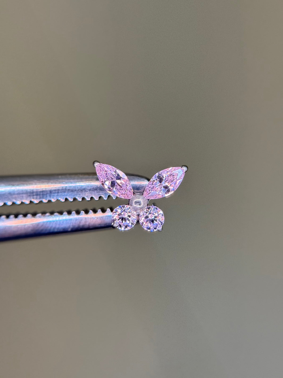 Delicate Butterfly
