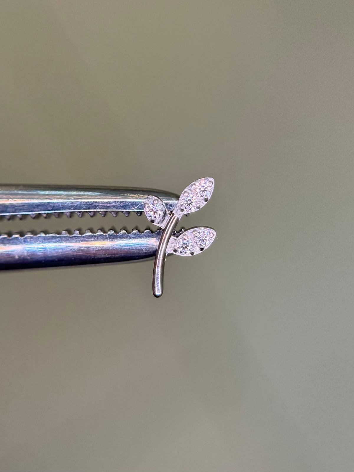 Thin Leaf