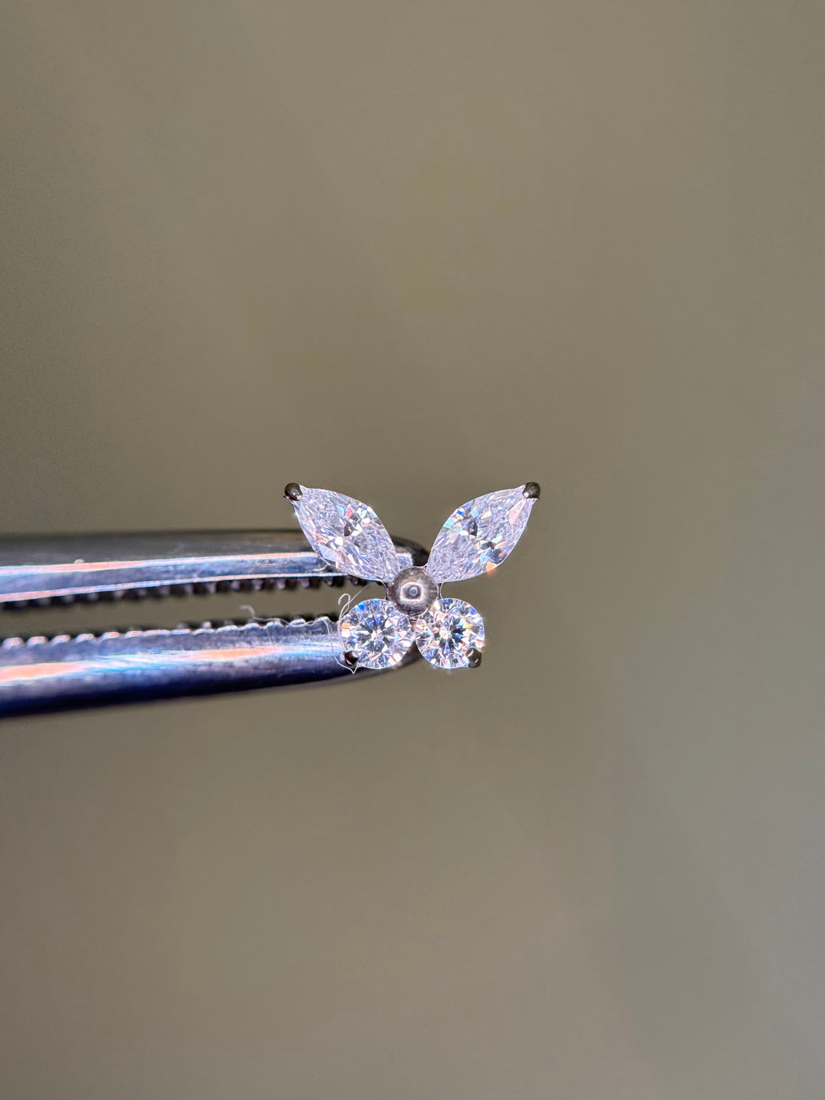 Delicate Butterfly