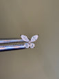 Delicate Butterfly