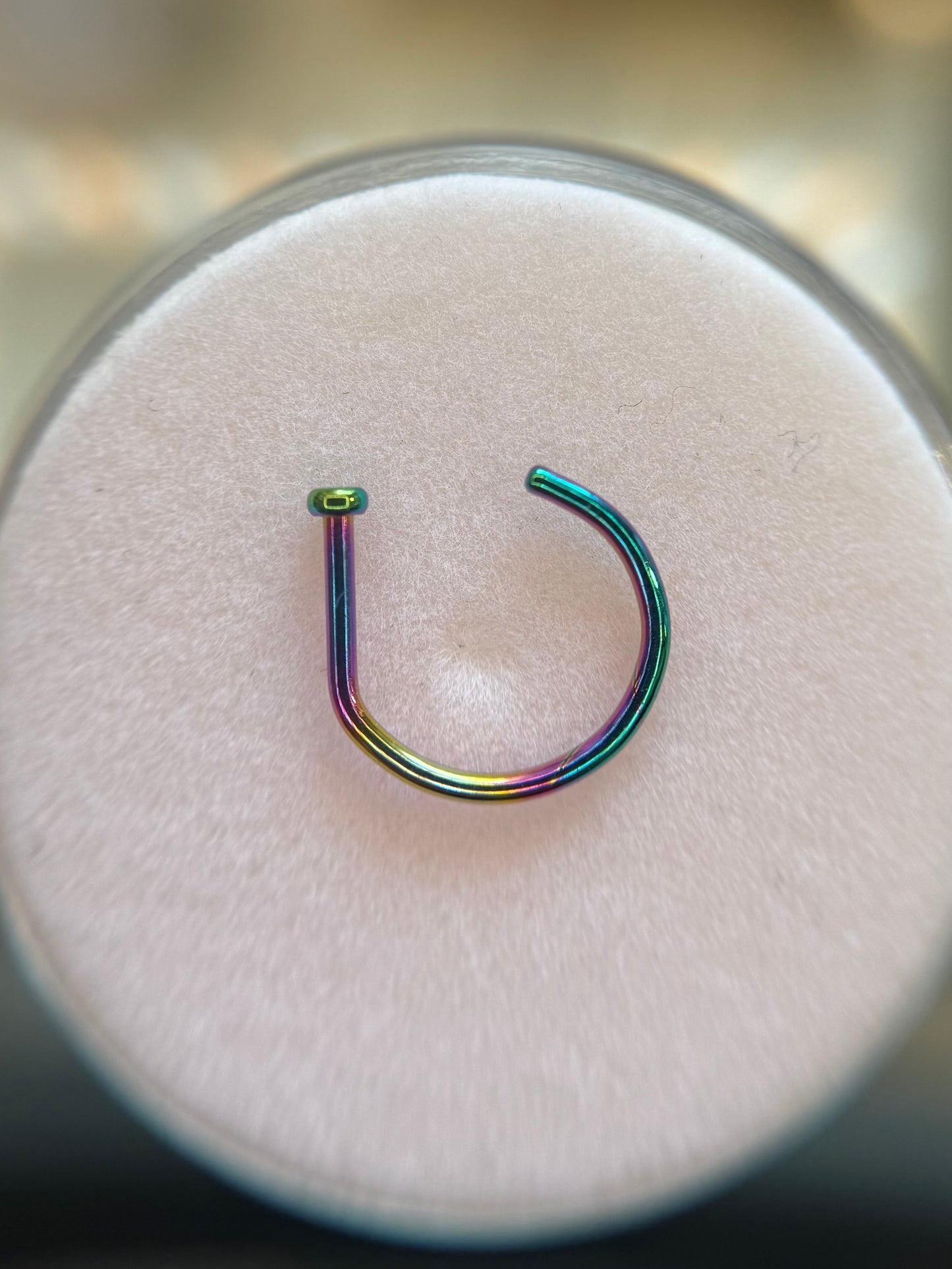 D-Shaped Titanium nose hoop