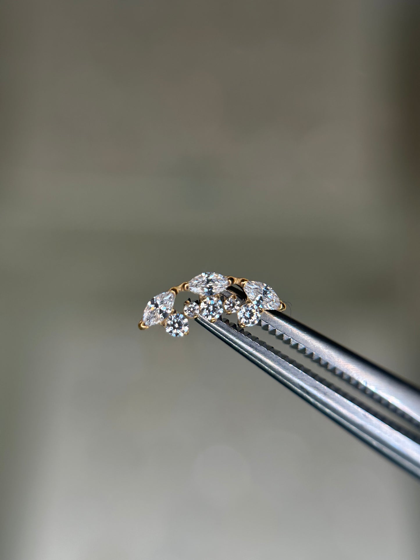 Curved Zuri Studs