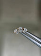 Curved Zuri Studs