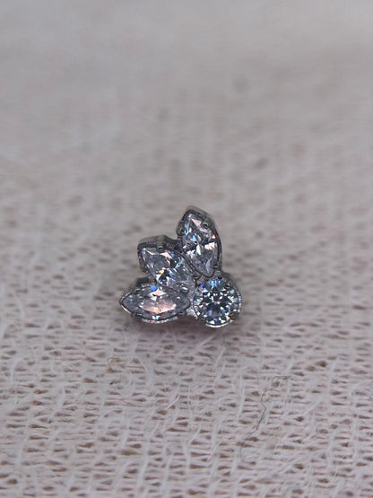 Bordered Crown Dot