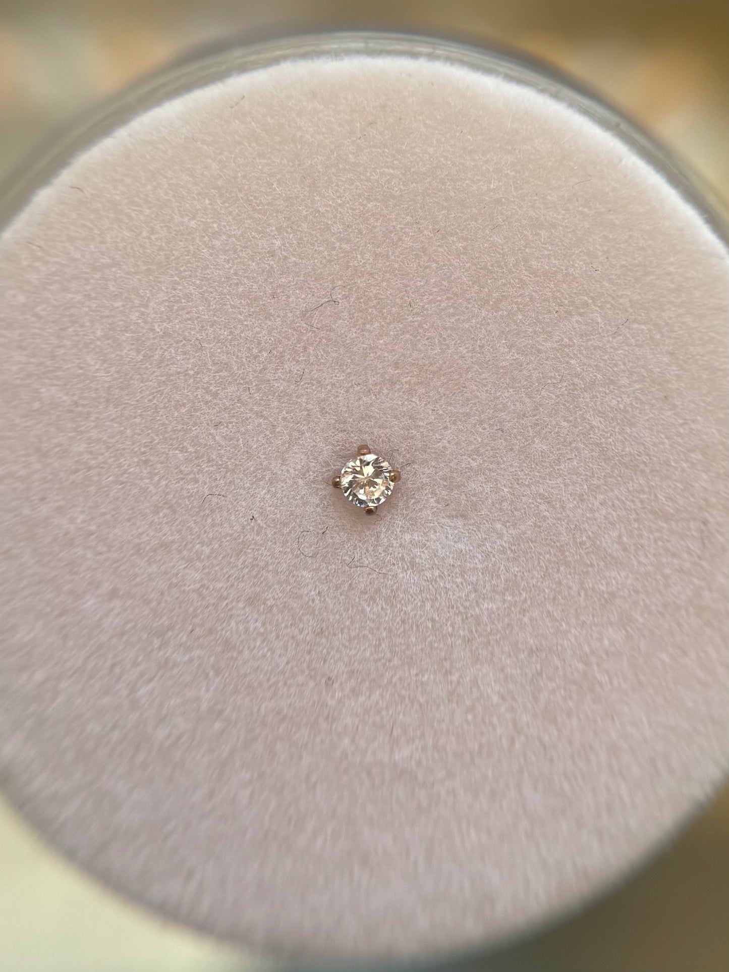 Titanium nose stud