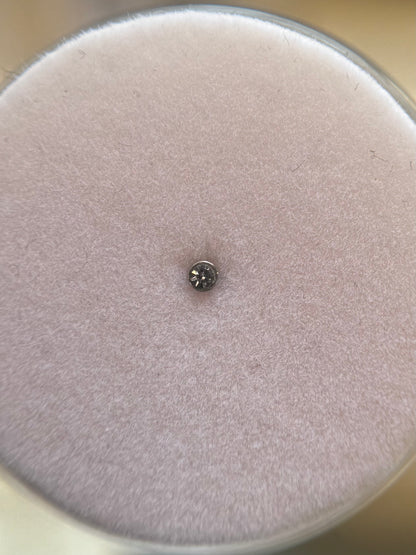 Bordered nose stud