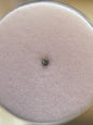 Bordered nose stud
