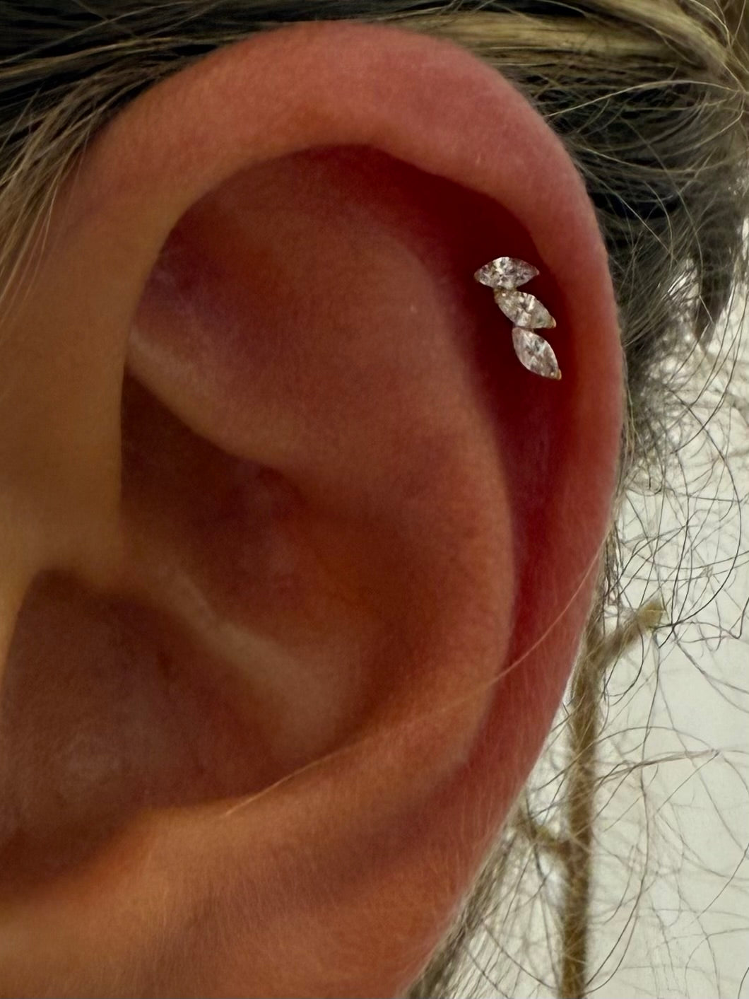 Rhomboids Crown small