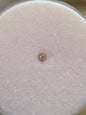Bordered nose stud push pin