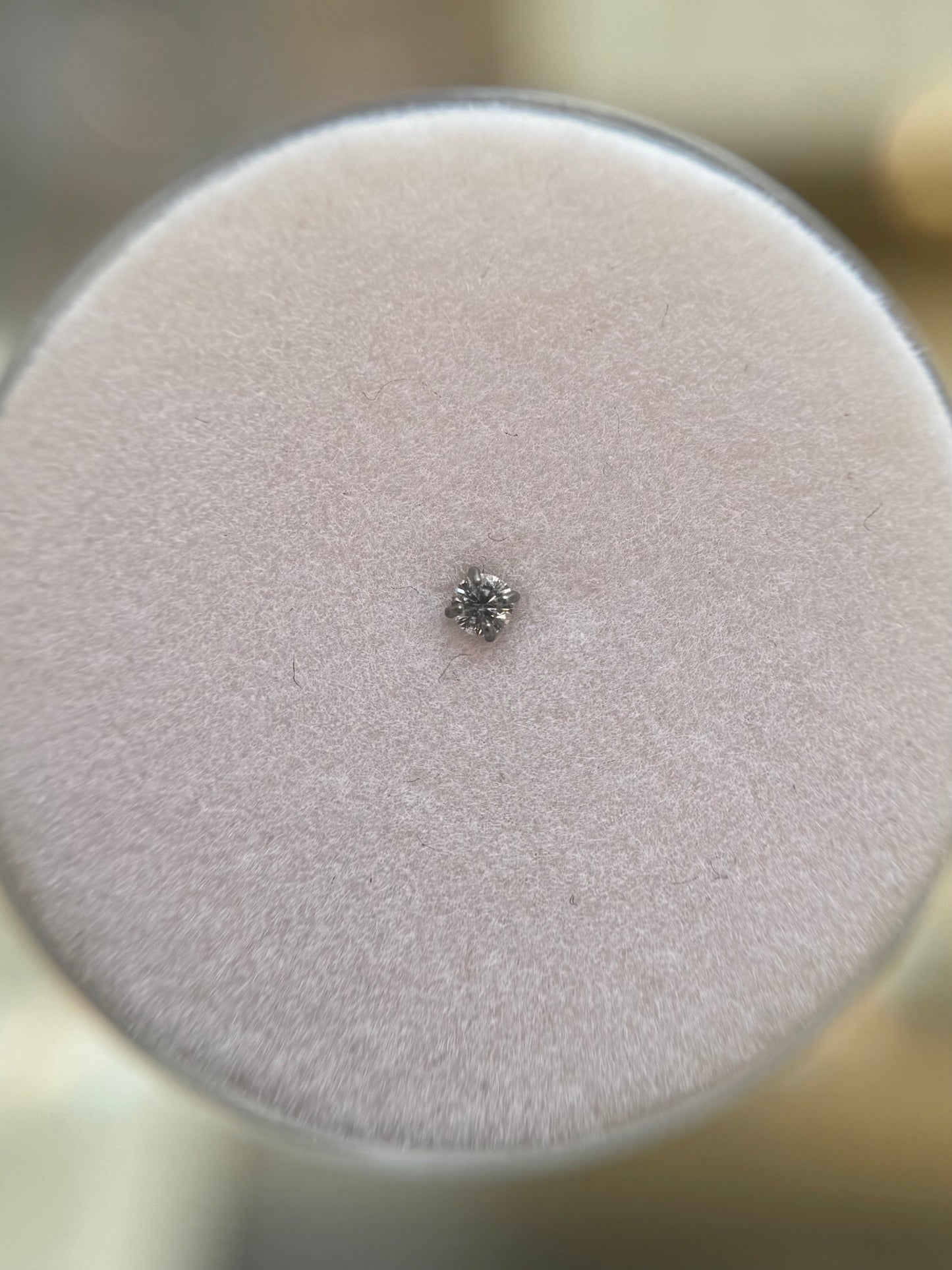Titanium nose stud