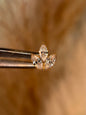 Velia Dermal Top