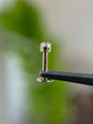 14k Invisible Stone Nose Stud (Lab Diamond)