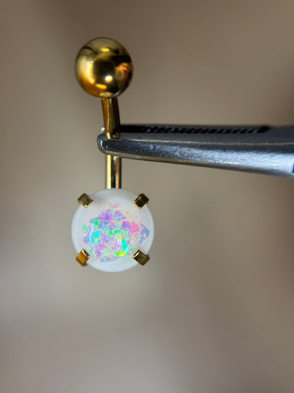 Clasp Opal Belly