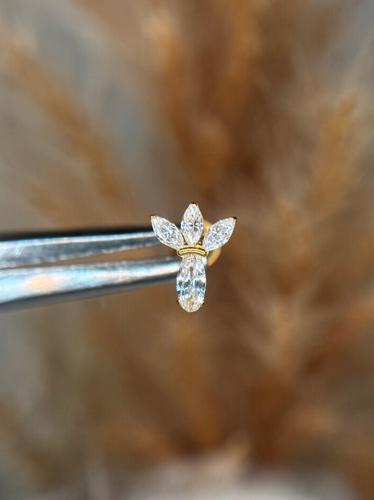 Espeletia Crown