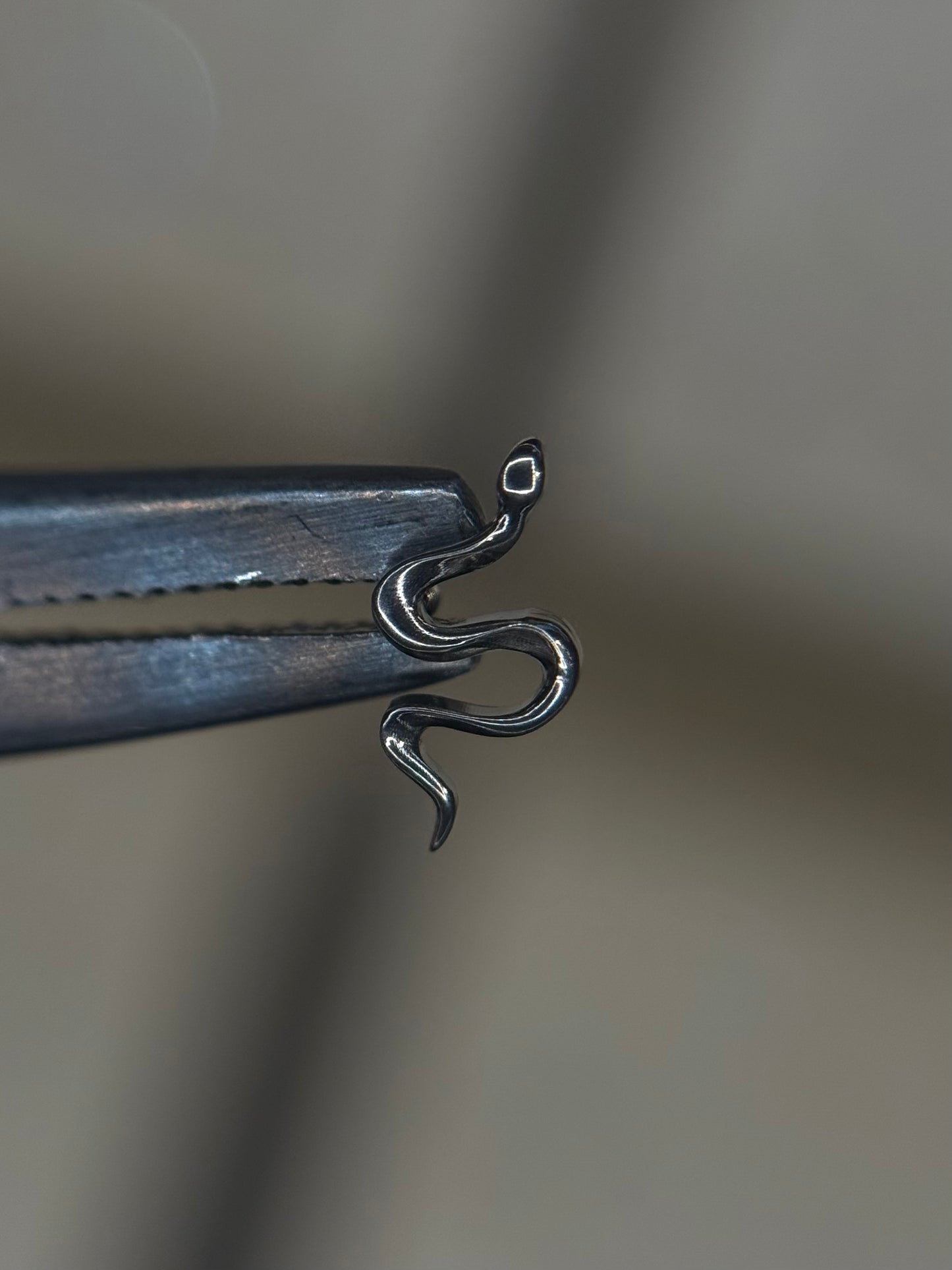 Slither Snake