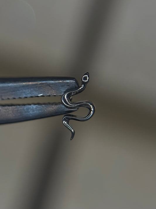 Slither Snake