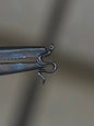 Slither Snake