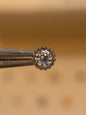 Beaded Bordered Stud
