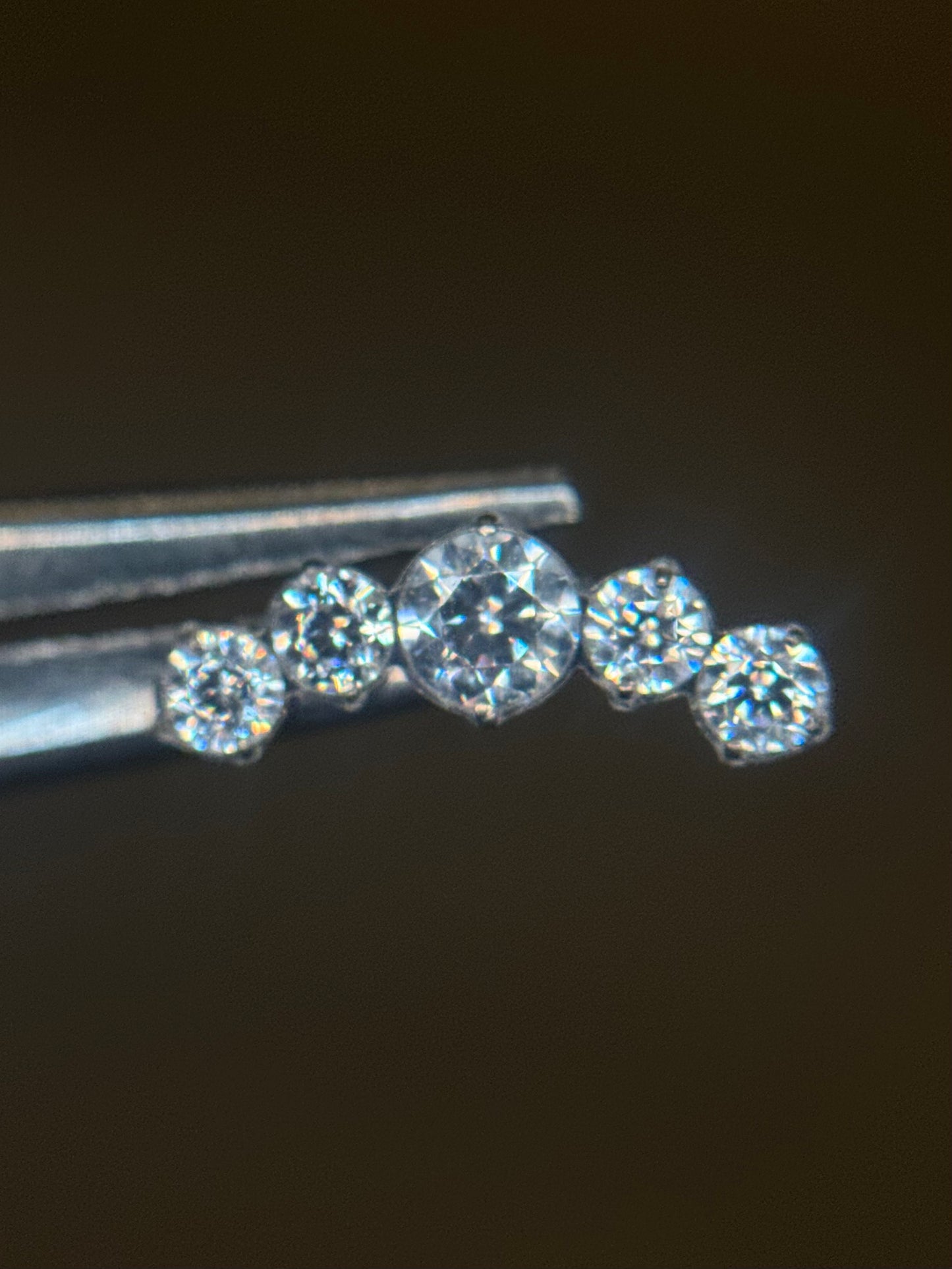 5 Bordered Studs curve