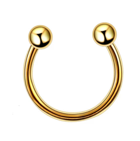 Horseshoe titanium