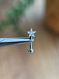 New Star rook