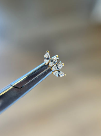 Medium crown