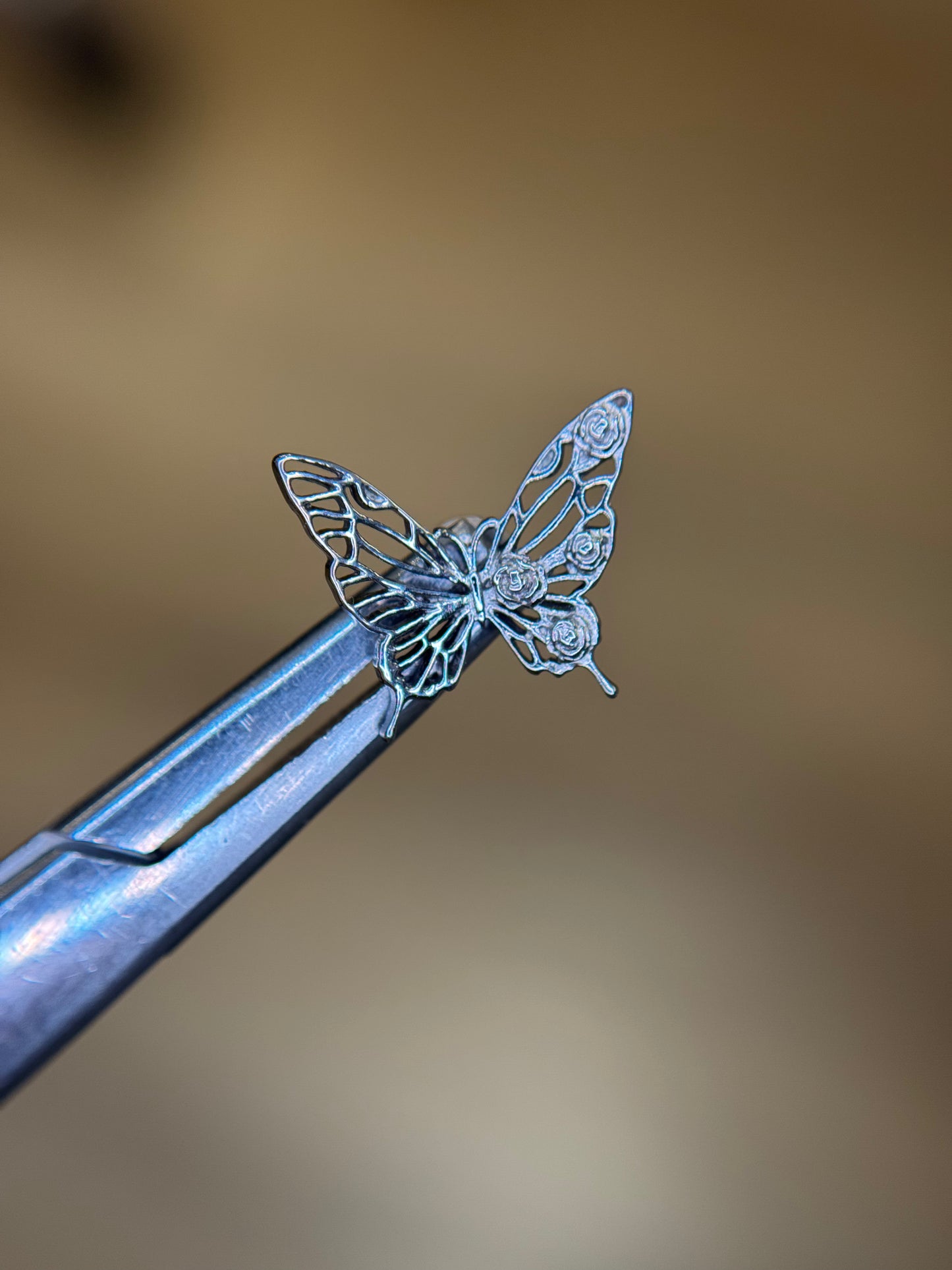 Big Butterfly