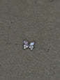 Flutter butterfly