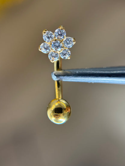 Dahlia titanium belly