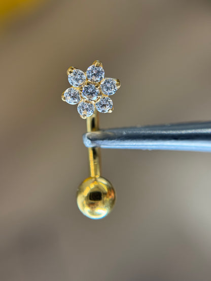Dahlia titanium belly