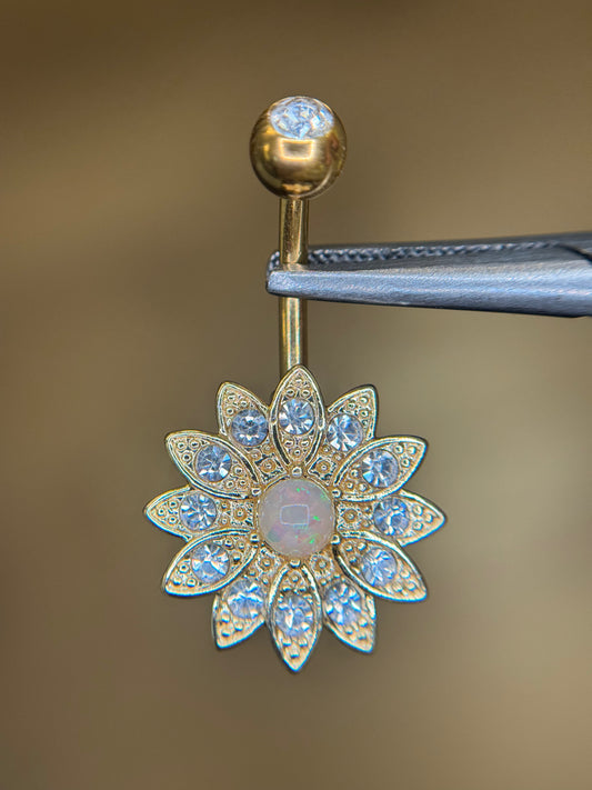 Sun Belly surgical