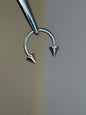 Spike horseshoe barbel