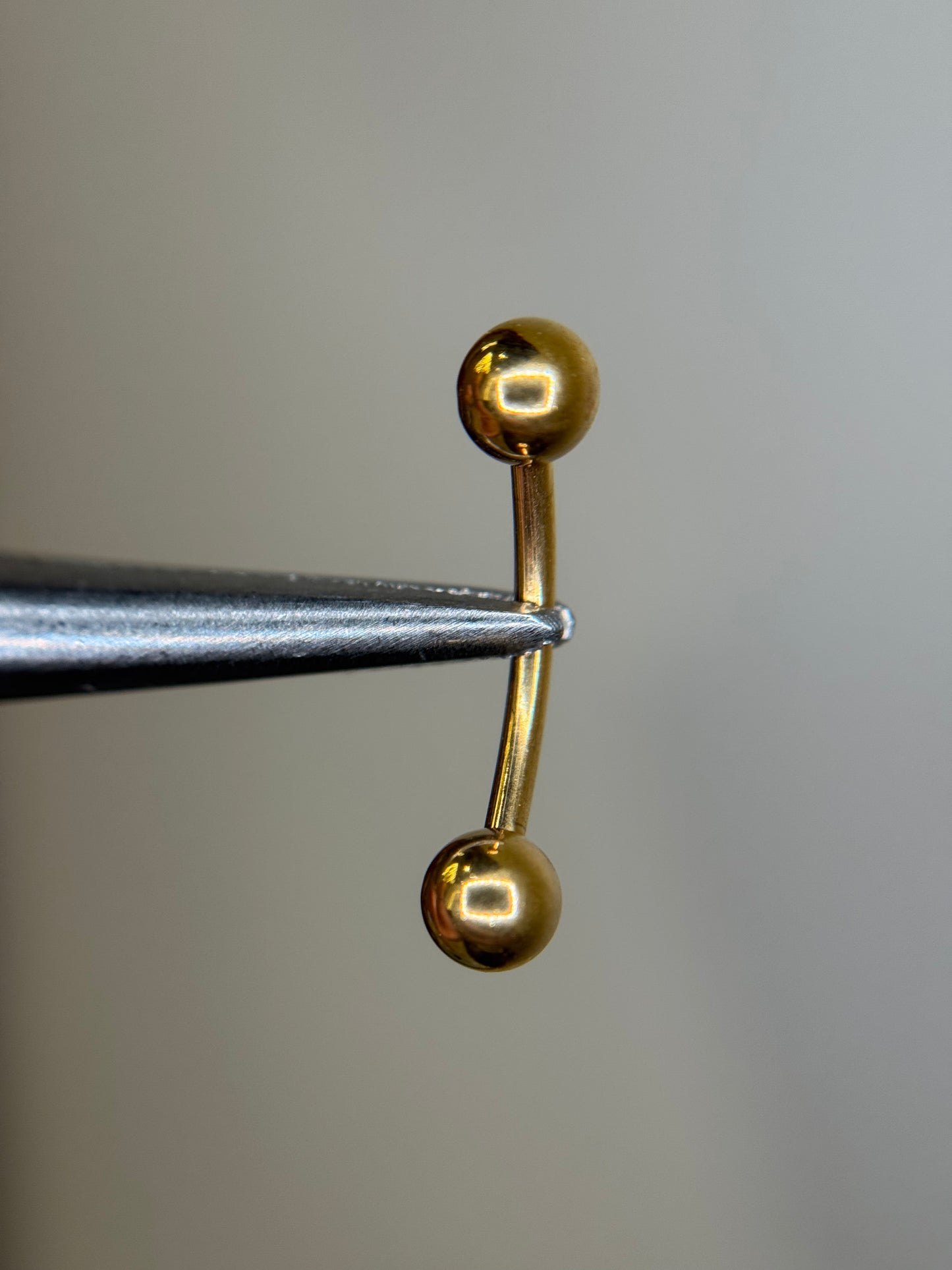 Standard Curved Barbel