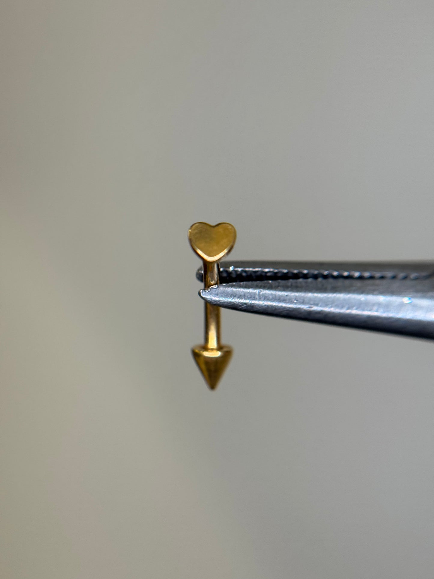 Plain Shape Curved Barbell
