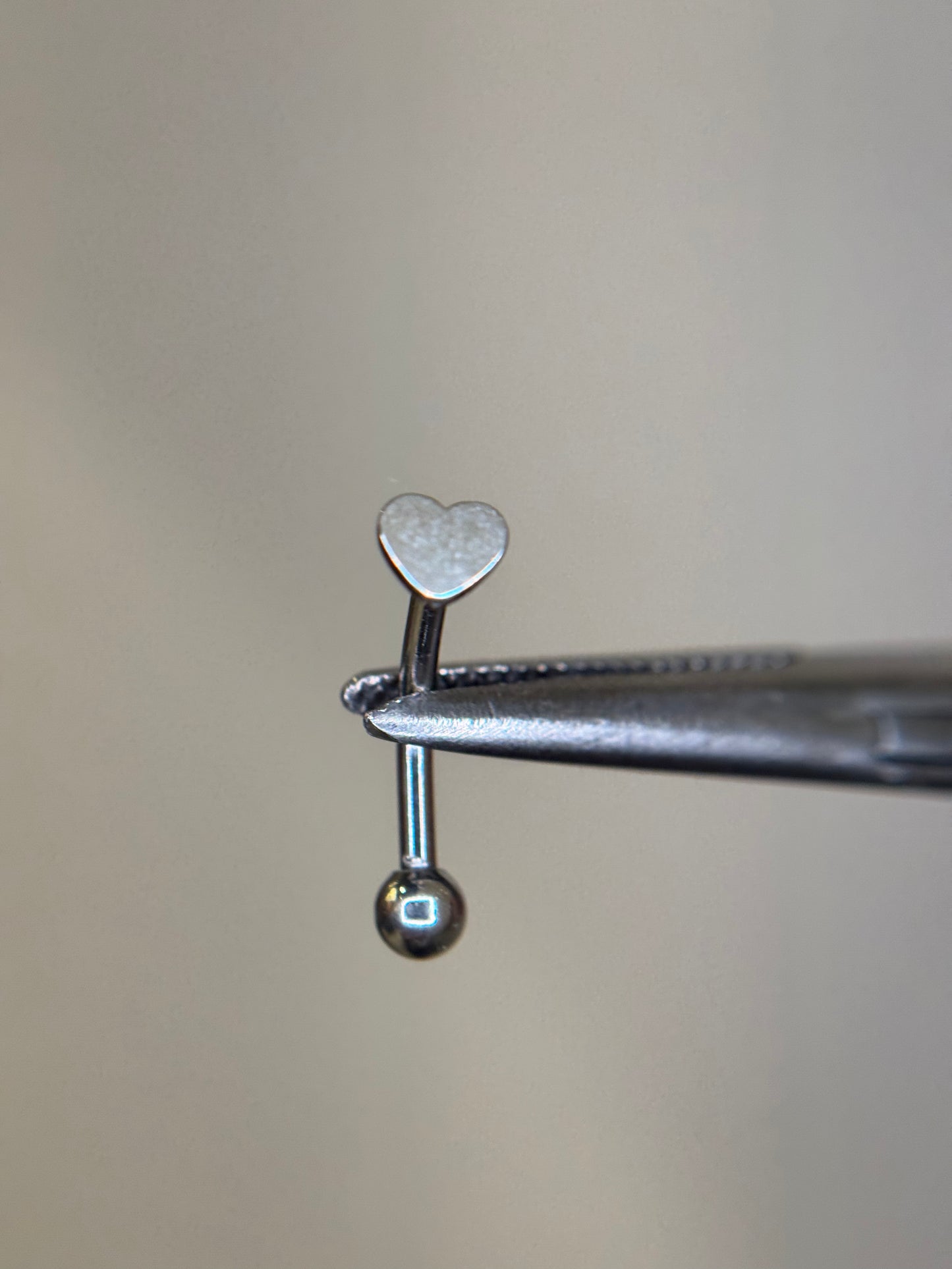 Plain Shape Curved Barbell