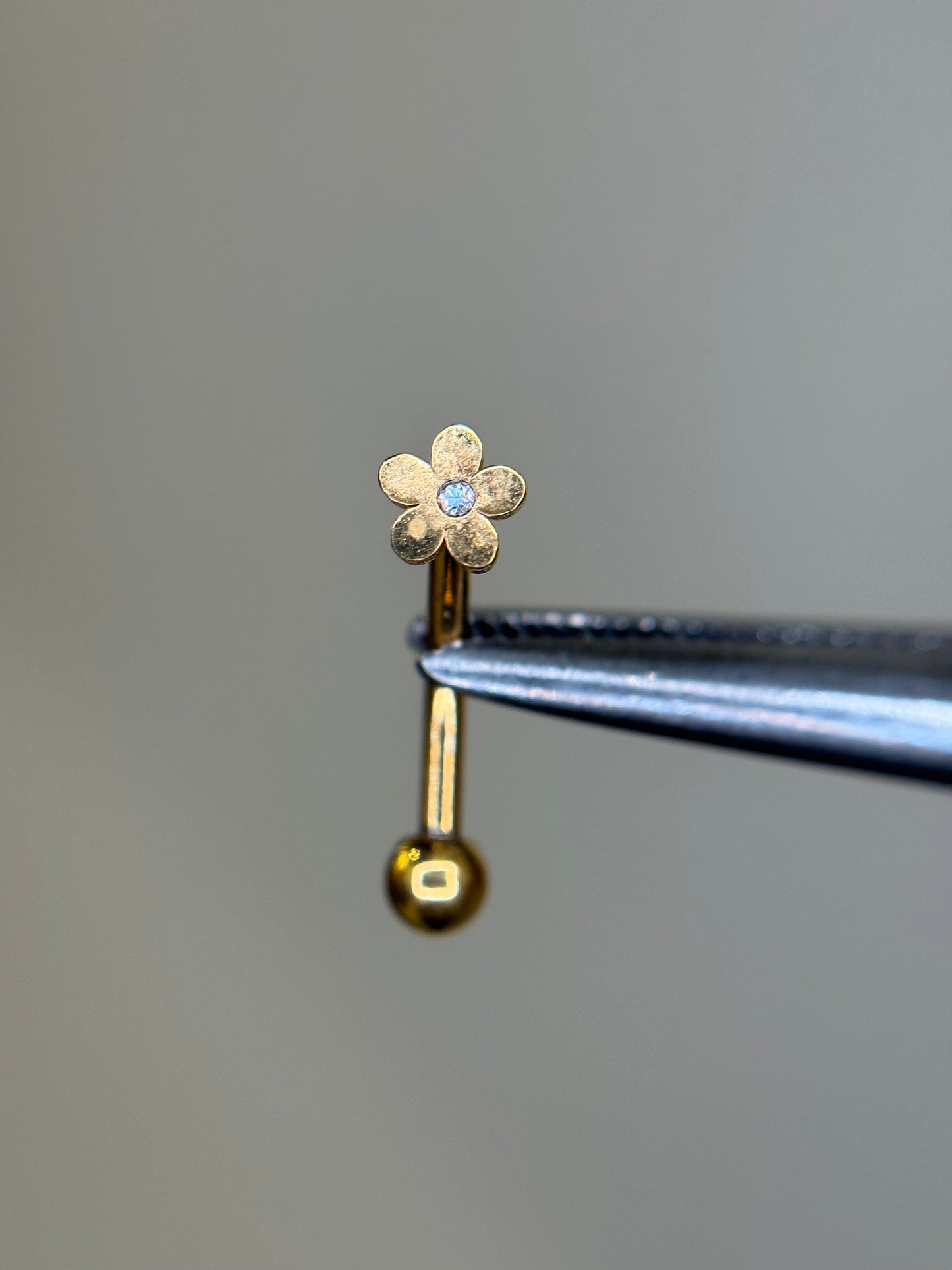 Plain Shape Curved Barbell