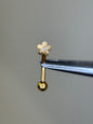 Plain Shape Curved Barbell